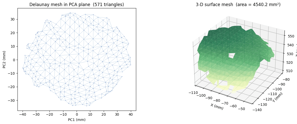 Dois gráficos lado a lado com o contorno triangulado de uma folha e a respetiva malha de superfície 3D verde